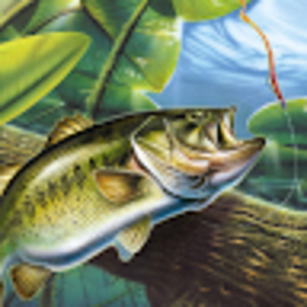 Meet your Posher, Caden